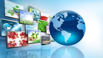 二維碼食品追溯 互聯網 食品 背后的 馬太效應